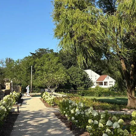 Sauces - En Carriazo, Ribamontan Al Mar, Cantabria Carriazo