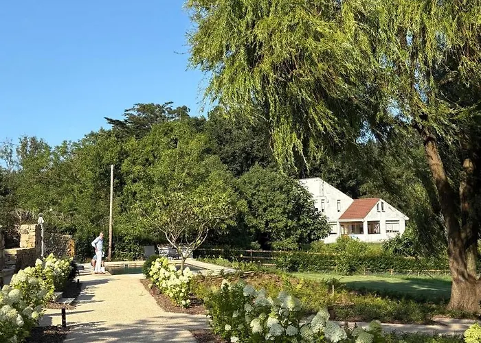 Sauces - En Carriazo, Ribamontan Al Mar, Cantabria Carriazo