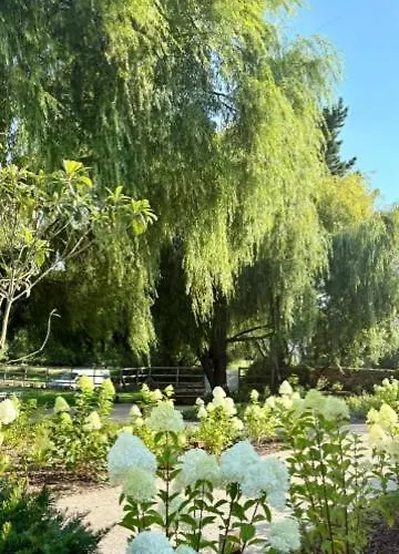 Vila Sauces - En Carriazo, Ribamontan Al Mar, Cantabria *